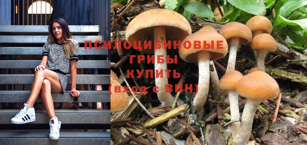 бутик Богородицк
