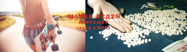 PSILOCYBIN Богданович