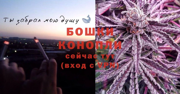 соль ск Богородск