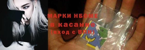 соль ск Богородск