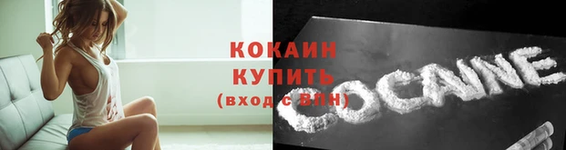 PSILOCYBIN Богданович