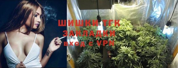 PSILOCYBIN Богданович