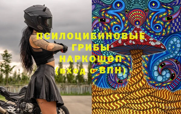 PSILOCYBIN Богданович