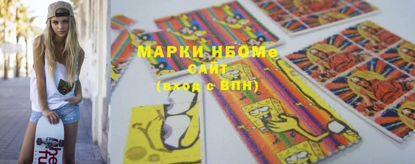 соль ск Богородск