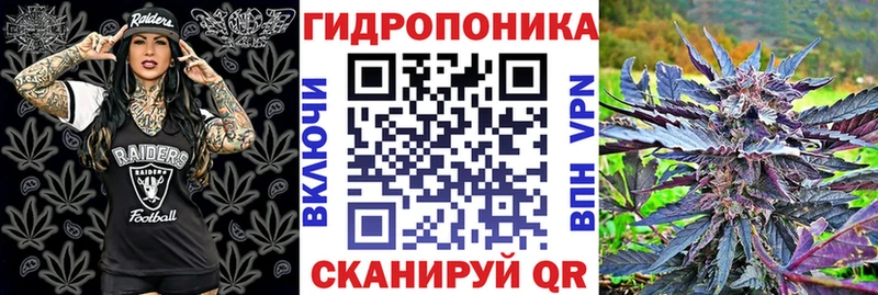 Конопля Amnesia  хочу наркоту  Разумное 